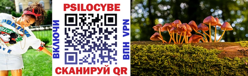 Псилоцибиновые грибы Psilocybe  Ярцево 